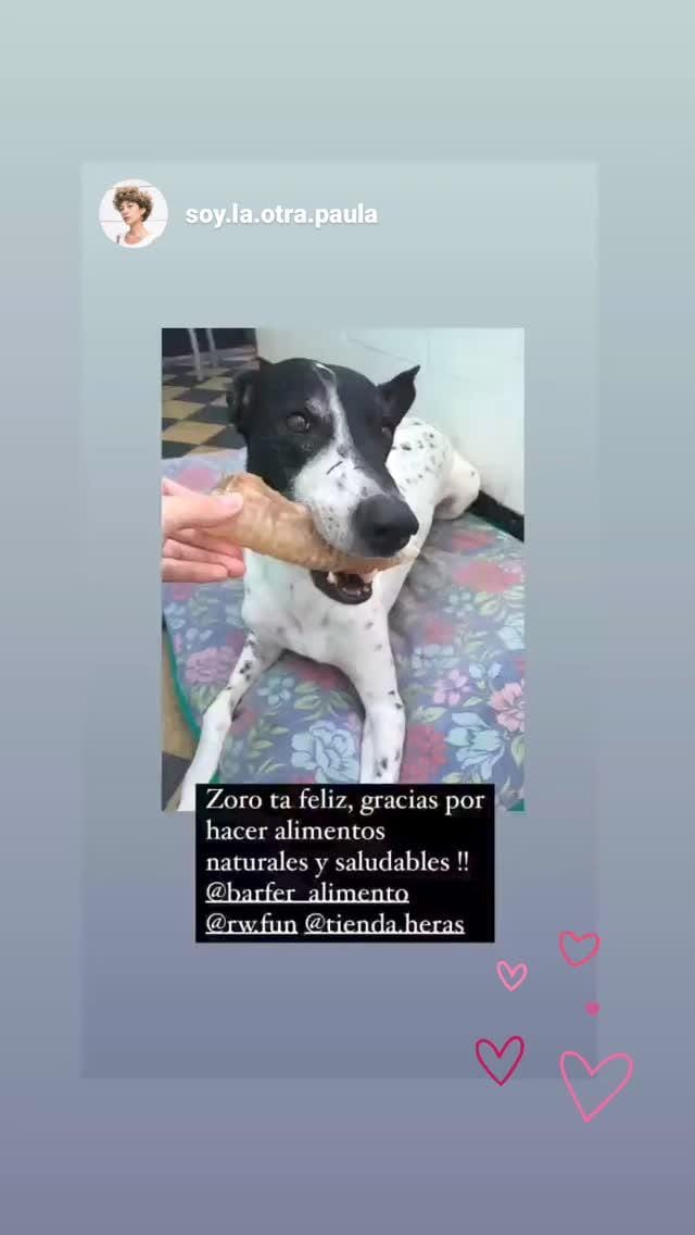 Mascota contenta con productos premium
